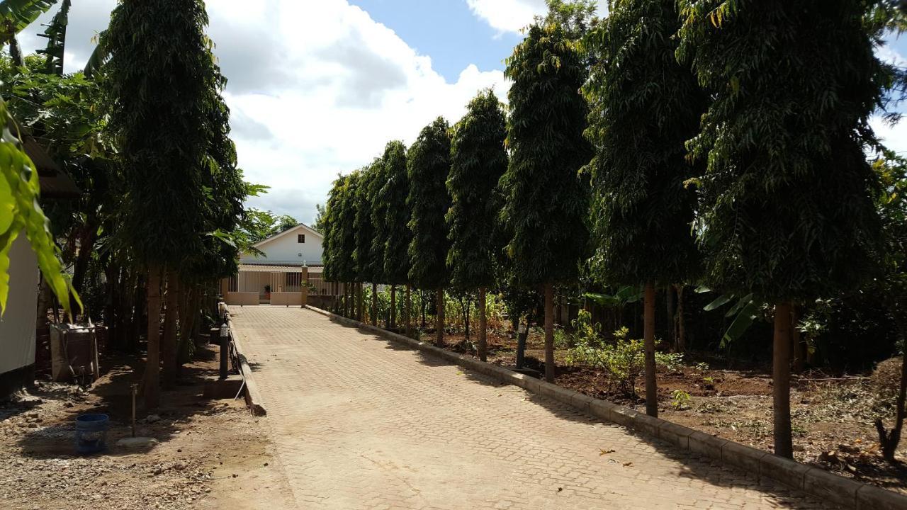 Kilimanjaro Country House Μόσι Εξωτερικό φωτογραφία