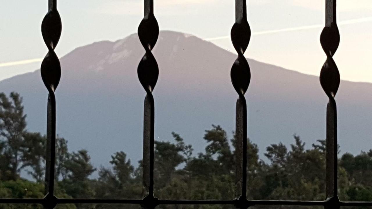 Kilimanjaro Country House Μόσι Εξωτερικό φωτογραφία